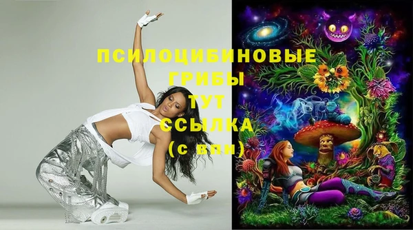 мдпв Ростов