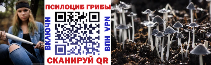 Псилоцибиновые грибы MAGIC MUSHROOMS  цена   Нарьян-Мар 
