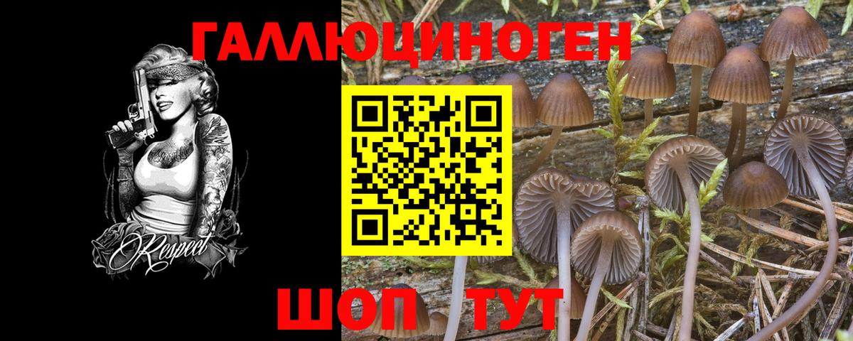 Нарьян-Мар  Галлюциногенные грибы прущие грибы  Вход с VPN  закладка  Псилоцибиновые грибы мицелий 